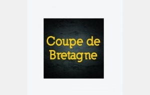 coupe de bretagne   