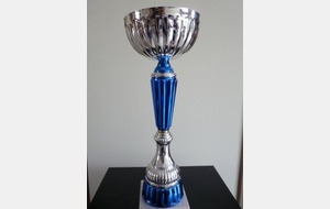 Tournoi de Dol de Bretagne