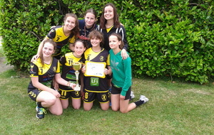 Tournoi de Dol de Bretagne