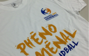 A tous les supporters de l'équipe de France !