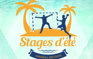 Stage Estival Handball 