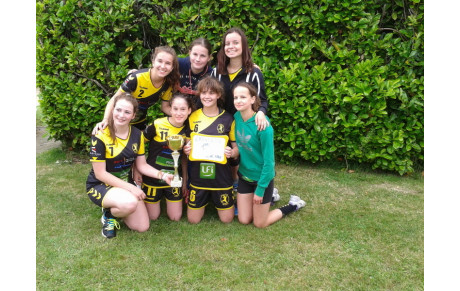 Tournoi de Dol de Bretagne